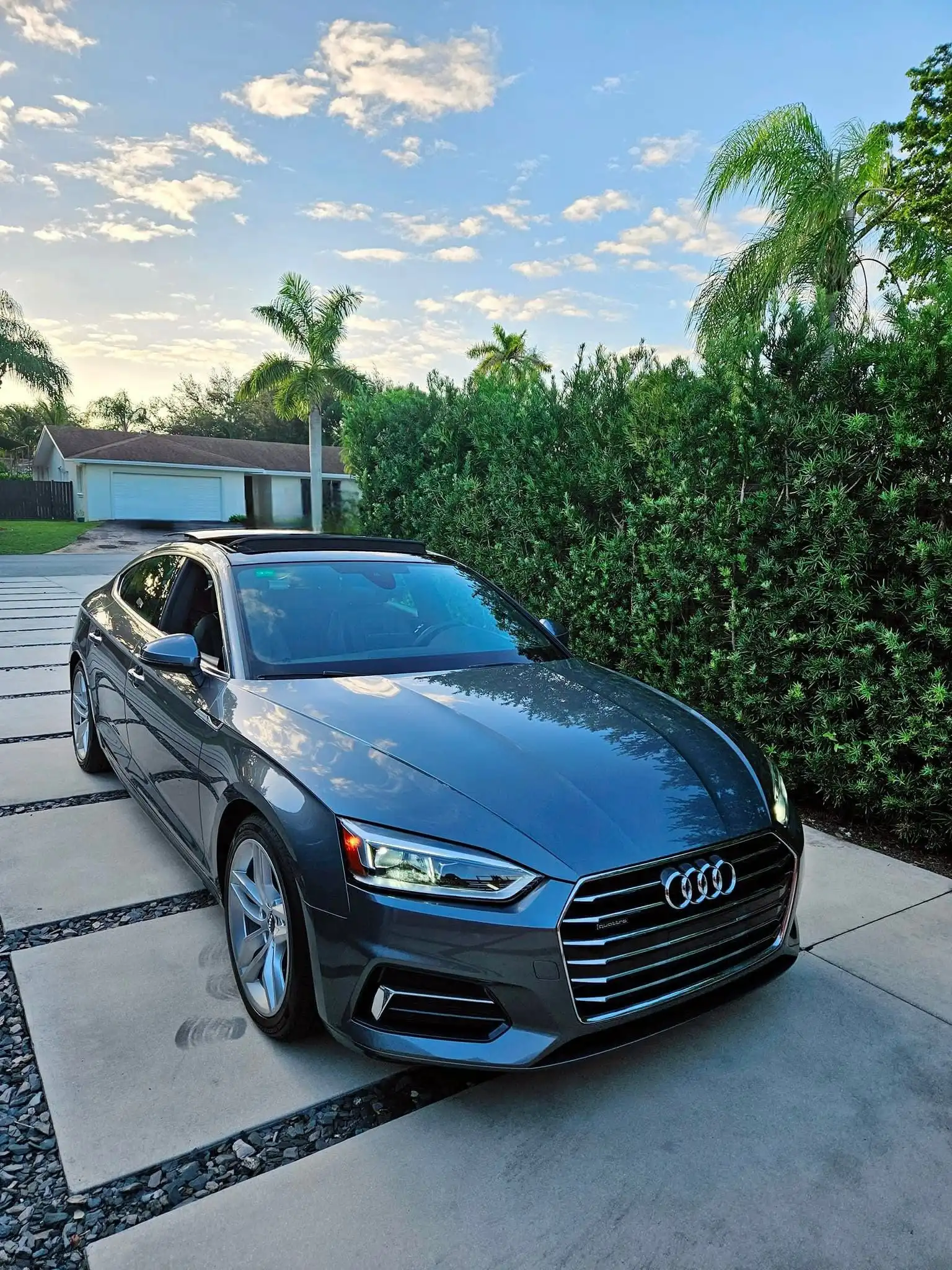 A grey Audi A7 parked in a driveway beside green plants.
